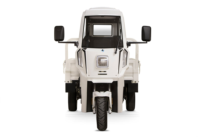 Load image into Gallery viewer, Geco Truck gXP V9 | Openbakwagen | 250 kg Laadvermogen | AM rijbewijs 45 km/u |