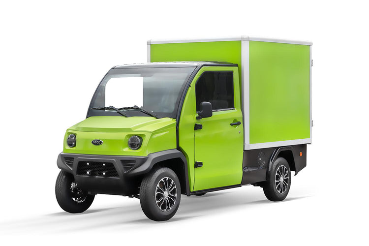 Elektrische Transporter Bakwagen en Pickup 2 persoons